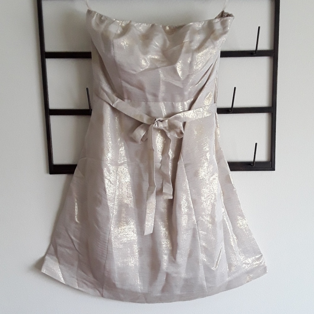 THE LIMITED 《Strapless Dress》